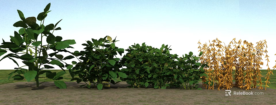Fresh Green Vegetable Plants Growing In Garden With Lush Leaves And Healthy Stems 3d model 