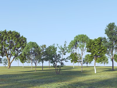 Tall and Short Arbor Trees with Lush Foliage on Open Grassland Under Blue Sky 3d model