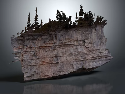 Natural Layered Rock Formation with Pine Trees Growing On Top and Textured Surface 3d model