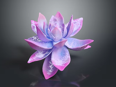 Succulent Plant with Pink Purple Gradient Petals and White Veins on Dark Background 3d model