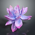 Succulent Plant with Pink Purple Gradient Petals and White Veins on Dark Background