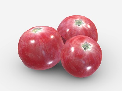 Modern Cranberry Fruit Food 3d model