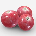 Modern Cranberry Fruit Food 3d model