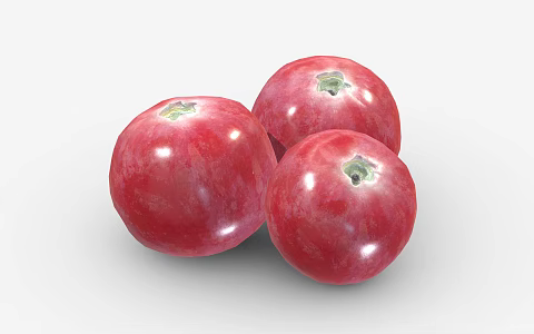 Modern Cranberry Fruit Food 3d model