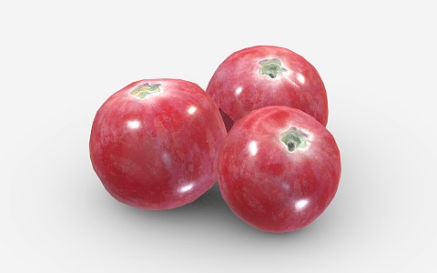 Modern Cranberry Fruit Food 3d model