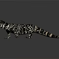 Black and White Striped Lizard with Open Mouth and Tongue on Gray Background