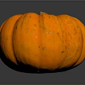 Vibrant Orange Ripe Whole Pumpkin with Smooth Surface on Dark Background