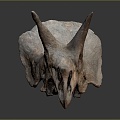 Modern Skeleton Triceratops Skeleton Triceratops Skull Triceratops Fossil Dinosaur Fossil 3d model