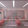 Aerial Yoga Studio With Pink Exercise Balls Yoga Mats And Mirror Walls