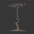 Wooden Stone Sculpture Featuring Twisted Tree Trunk On Dark Background With Smoke Effect