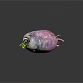 Fresh Purple Radish with Pink Stripes and Green Leaves on Top Against Dark Background