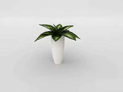 Elegant Bonsai Potted Plant in White Vase with Green Leaves for Indoor Decor 3d model