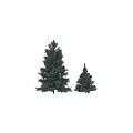 Garden Decor With Evergreen Trees And Person Silhouette In Lush Foliage
