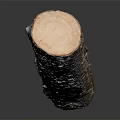 Natural Wood Log With Textured Bark And Smooth Cut Surface 3d model