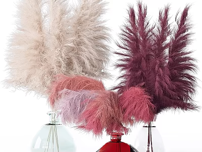 Colorful Pampas Grass Arranged in Glass Vases with White Pink and Burgundy Plumes 3d model