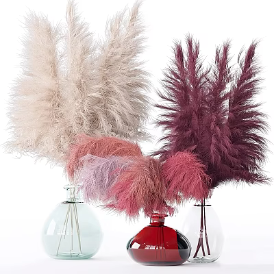 Colorful Pampas Grass Arranged in Glass Vases with White Pink and Burgundy Plumes 3d model