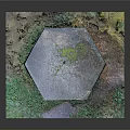 Octagonal Moss Covered Bunker Model With Green Vegetation And Black Base