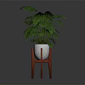 Green Monstera Plant In White Pot On Red Three Legged Stand