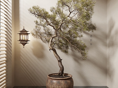 New Chinese Bonsai Green Plant Tree model