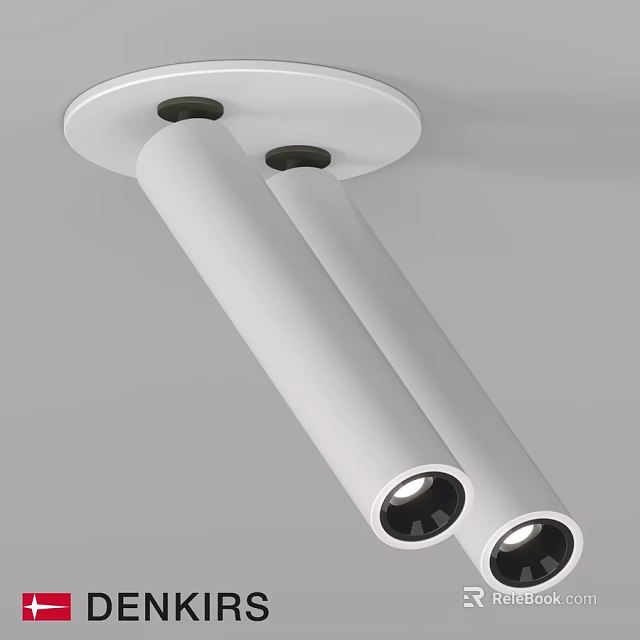 Modern White Double Ceiling Mounted Downlights And Spotlights For Indoor Lighting 3d model 
