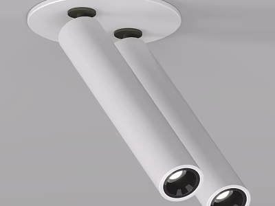 Modern White Double Ceiling Mounted Downlights And Spotlights For Indoor Lighting 3d model