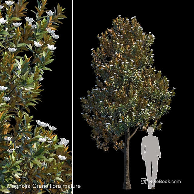 Decorative Plant Ornament Set With White Flowers Green Leaves And Tree Design 3d model 