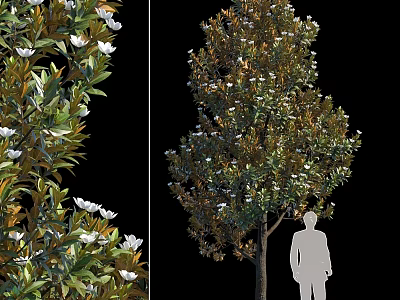 Decorative Plant Ornament Set With White Flowers Green Leaves And Tree Design 3d model