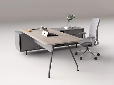 Modern Office Desk And Gray Chair Set With Laptop Side Cabinet Vase Green Plants 3d model