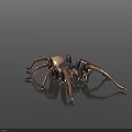 Realistic Brown Spider With Light Colored Abdomen On Dark Reflective Surface