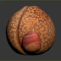 Large Orange Spotted Fruit Cut Open With Small Red Seed On Black Surface 3d model