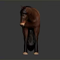 Detailed Brown Horse Model in Standing Pose on Gray Background