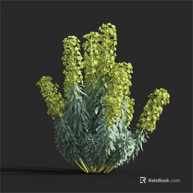 Green Flowering Plant With Spike Like Blooms And Lush Green Leaves 3d model 