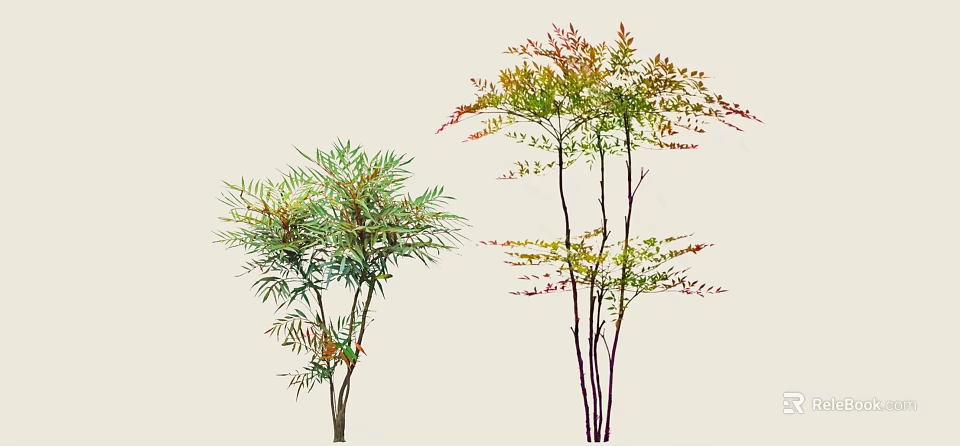 Colorful Foliage Shrubs With Varied Leaf Tones And Slender Branches For Garden Landscaping 3d model 