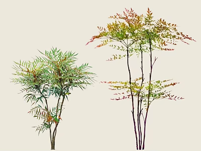 Colorful Foliage Shrubs With Varied Leaf Tones And Slender Branches For Garden Landscaping 3d model