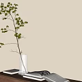 Aquatic Plant Branch in Clear Glass Vase with Green Leaves Light Wall and Sunlight Shadows