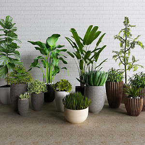 Modern potted plant combination 3d model