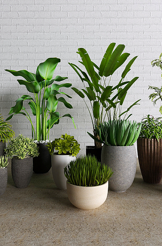 Modern potted plant combination 3d model