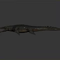 Realistic 3D Crocodile Model With Open Mouth Scaly Skin And Gray Gradient Background 3d model