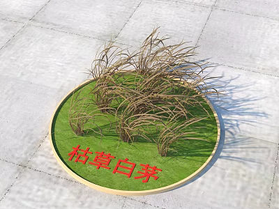 Withered cogon grass growing in circular green patch with dry stems 3d model