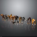Various Dog Breeds of Different Sizes and Colors Standing on Gray Background with Reflections