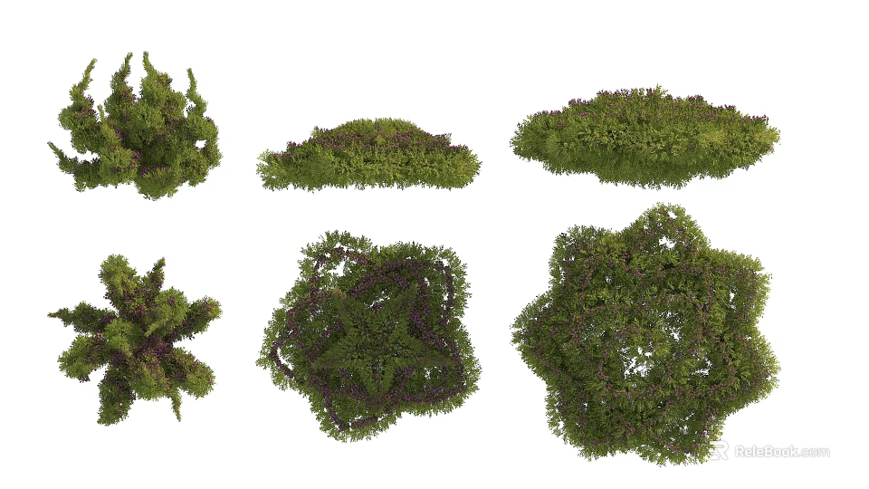 Different Types of Green Shrubs with Varied Shapes and Lush Foliage for Landscaping 3d model 