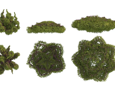 Different Types of Green Shrubs with Varied Shapes and Lush Foliage for Landscaping 3d model