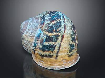 Unique Snail Shell Featuring Colorful Blue Brown Patterns On Shiny Surface 3d model