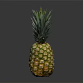 Fresh golden pineapple with green leaf crown on black reflective surface 3d model
