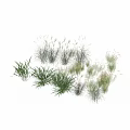 Various Aquatic Plants with Green Foliage and White Feathery Blooms for Water Garden