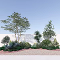 Outdoor Garden Plant Combination With Trees Shrubs Succulents And Pebble Ground