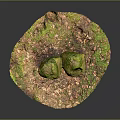 Natural Stone Decor Featuring Moss Covered Stones Earthy Base And Circular Shape