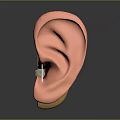Human Ear Anatomy Showing External Middle And Inner Structures With Sound Waves 3d model