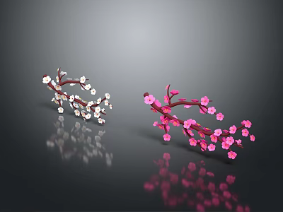 White and Pink Flowering Plant Branches with Reflections on Dark Surface 3d model