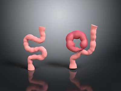 Pink Tubular Intestinal 3D Models With Curved And Circular Structure On Gray Background With Reflection 3d model